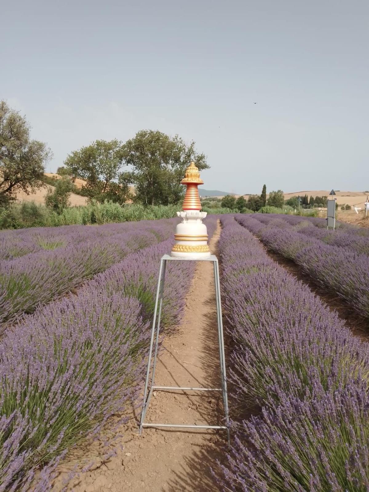 Casa Storica Con Terrazzo Villa คาสเตลลินา มาริตติมา ภายนอก รูปภาพ